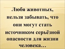 ПМП при укувах ядовитых змей и опасных насекомых