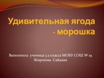 Презентация по окружающему миру на тему Чудесная ягода - морошка