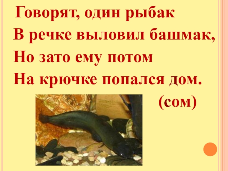 В речке выловил башмак. Шибаев буква заблудилась. В речке выловил башмак. Говорят один рыбак в речке выловил башмак. Говорят один рыбак в речке.