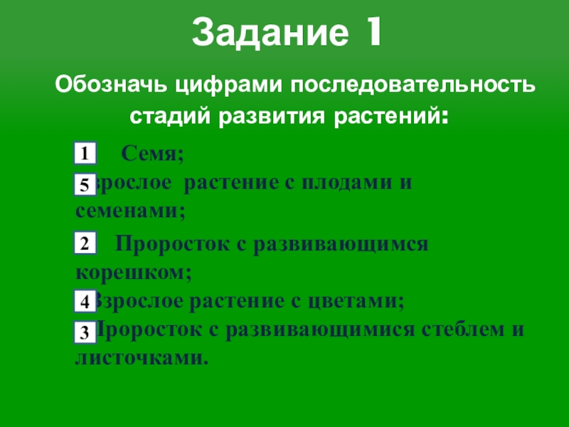 Последовательность развития