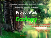 Презентация по английскому языку на тему: Ecology