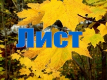 Презентация по биологии на тему Лист (6 класс)