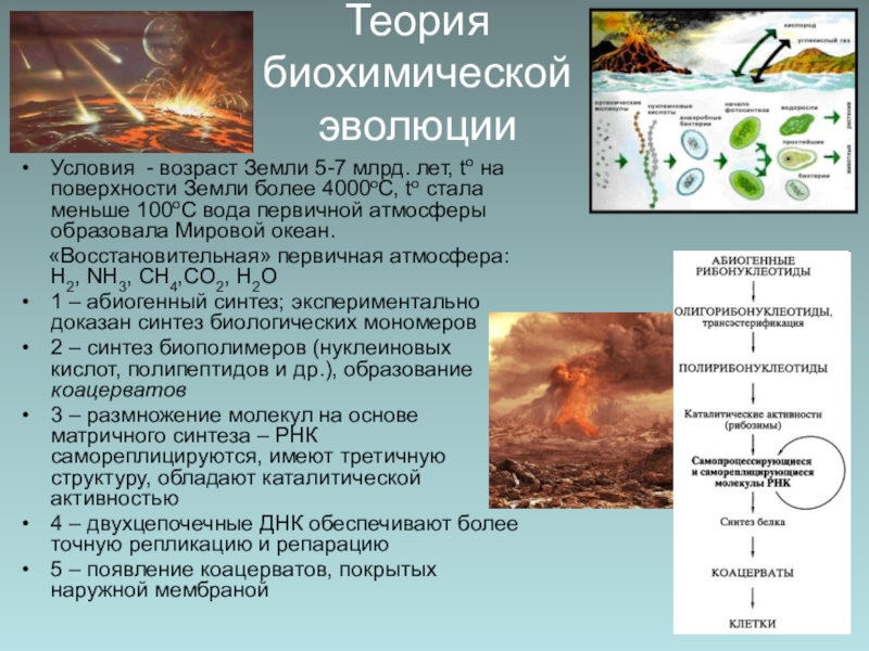 Возникновение и развитие жизни на земле презентация