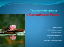 Презентация по окружающему миру