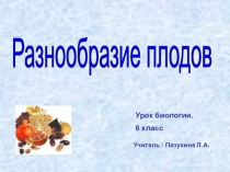 Презентация по биологии Разнообразие плодов
