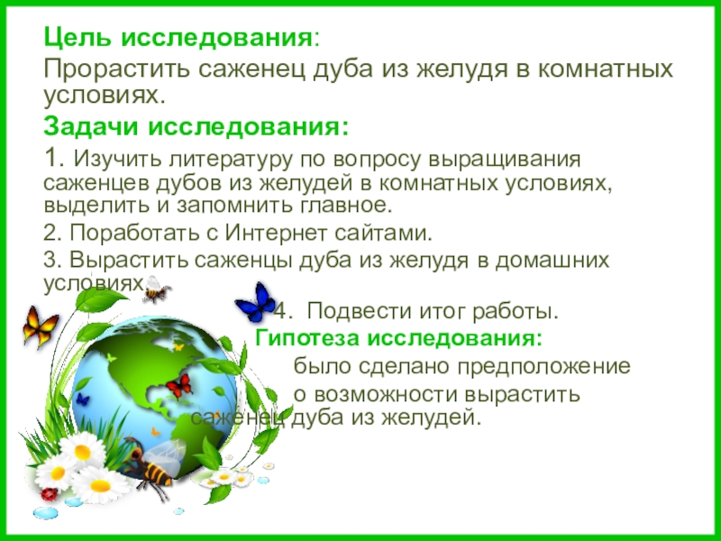 Доклад: Как вырастить саженцы деревьев в комнатных условиях