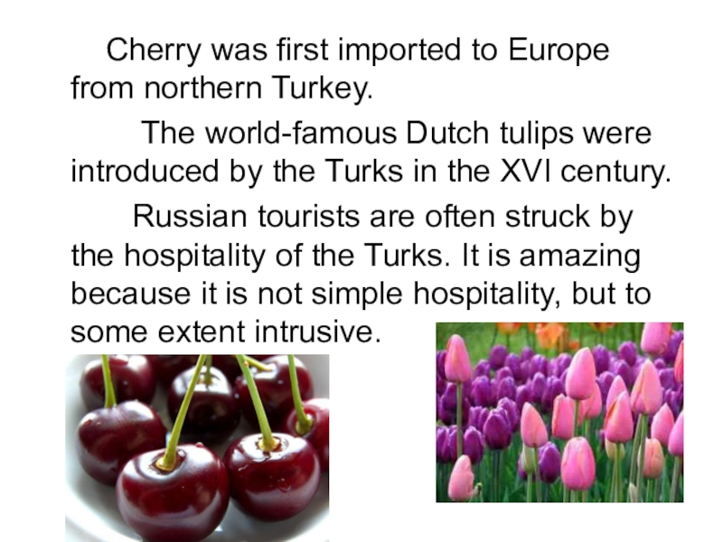 Как по английски вишня. Турецкая вишня. Турция сообщение на английском. Presentation about Turkish. Cherry was here.