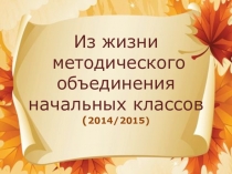 Презентация Из жизни методического объединения начальных классов