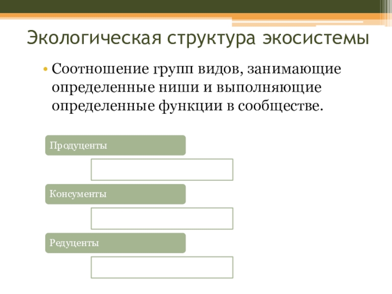 Окружающее структура. Экологическая структура экосистемы. Экологическая структура вида. Экологическая структура примеры. Экологическая иерархия.