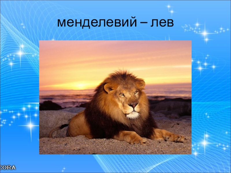Лев для презентации. Всем спасибо для презентации со львом.