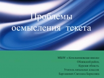 Презентация Проблемы осмысления текста