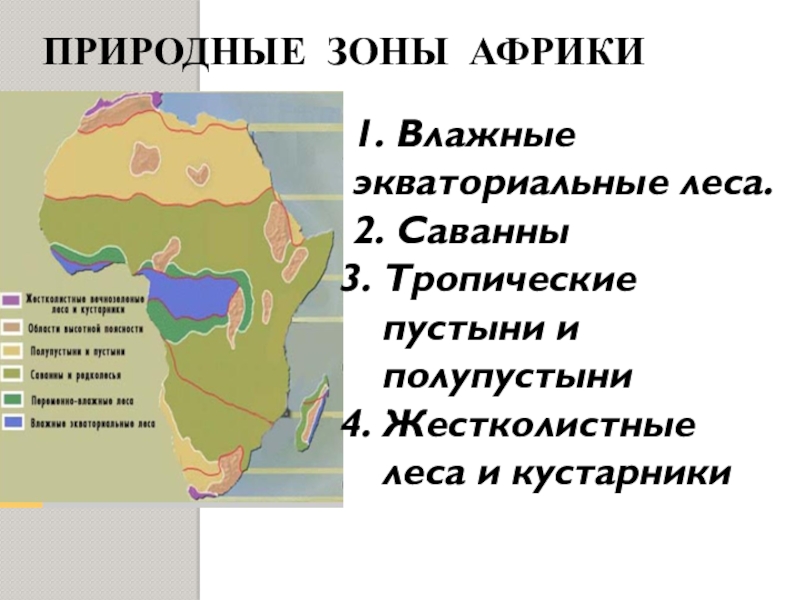 Какую площадь занимают экваториальные леса. Тропическая зона Африки. Плодородные зоны Африки. Карта природных зон Африки.