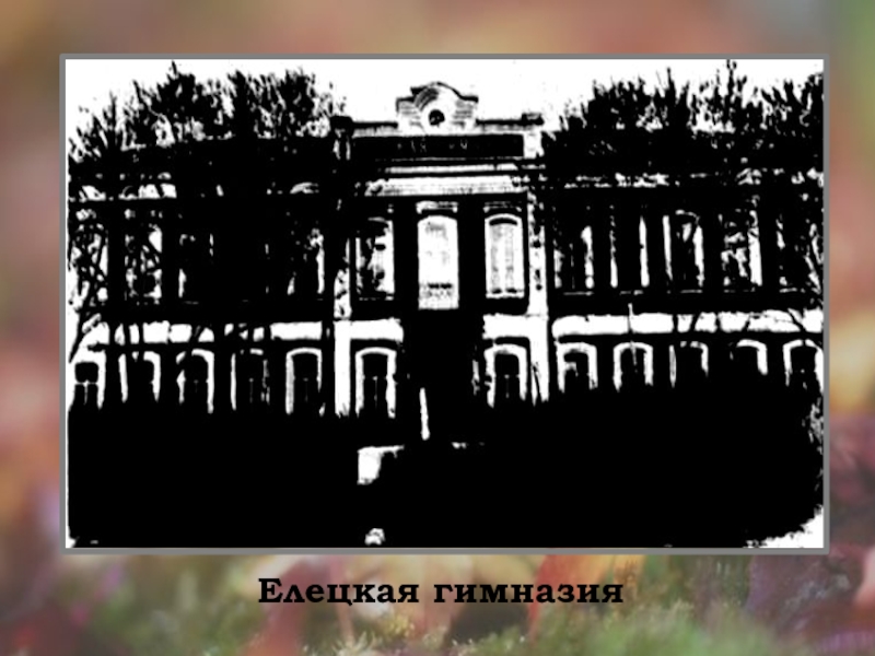Елецкая гимназия где учился бунин фото