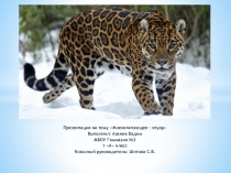 Презентация по окружающему миру 1 класс Рысь