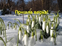 Презентация Пришла весна для дошкольников с методическим сопровождением