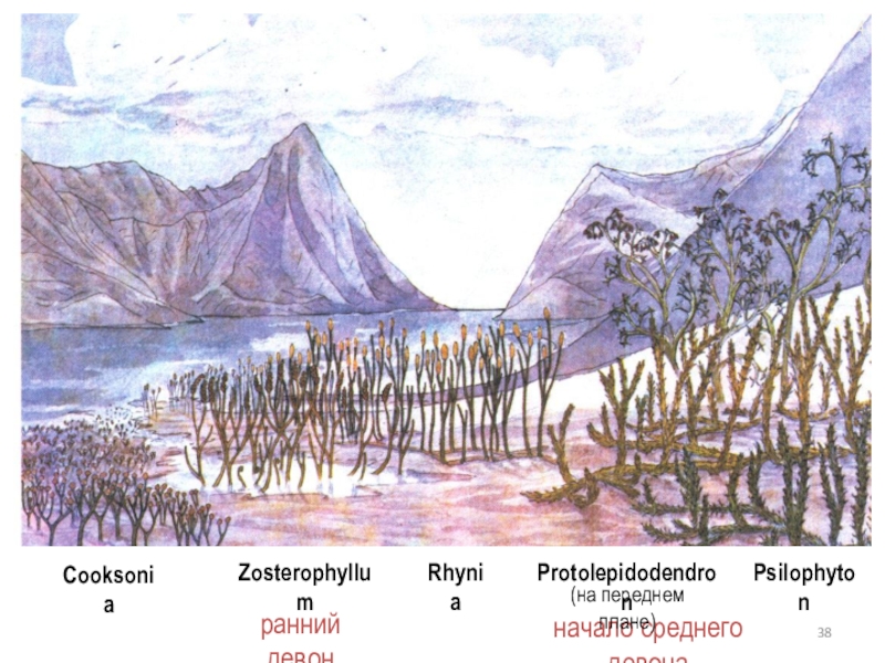 Рисунок первые растения на суше