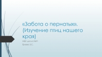 Презентация Забота о пернатых