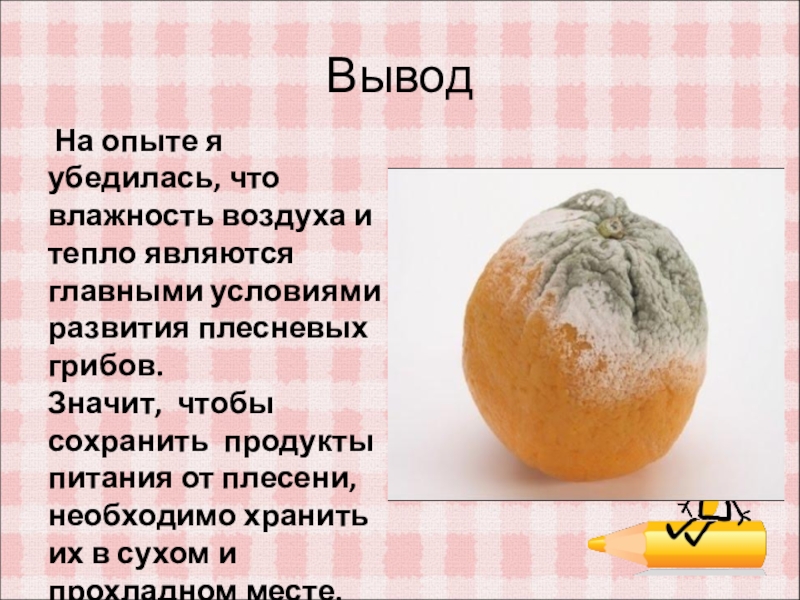 Как сохранить продукты от плесени. Как вывести плесень из хлебницы. Методы борьбы с плесенью на хлебе. Плесень факторы возникновения. Презентация на тему плесень.