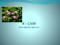 Презентация Кризис трех лет