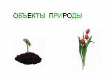 Презентация по дошкольному образованию на тему Природа (Дошкольники)