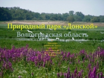 Презентация по окружающему миру на тему Разнообразие природы родного края 3 класс.