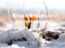 Презентация по русскому языку на тему  Обособленные дополнения (8 класс)