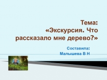 Презентация для 2 класса. Тема:  Что рассказало мне дерево? Экскурсия.