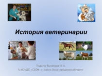 Презентация к занятию кружка Основы ветеринарии тема занятия История ветеринарии