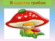 Презентация по окр. миру