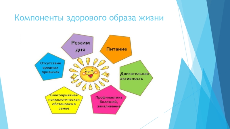 Компоненты здорового образа жизни