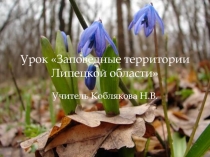Презентация для урока Заповедные территории Липецкой области