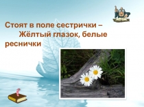 Презентация 6 класс : Классификация покрытосеменных растений