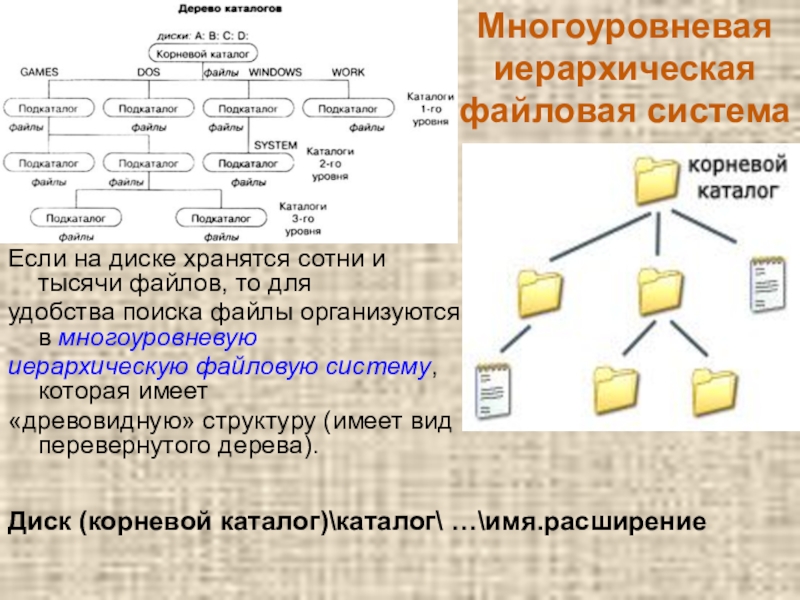 1000 файлов. Многоуровневую иерархическую файловую структуру. Многоуровневая файловая структура. Многоуровневые иерархические системы. Многоуровневая иерархическая файлововая структура.