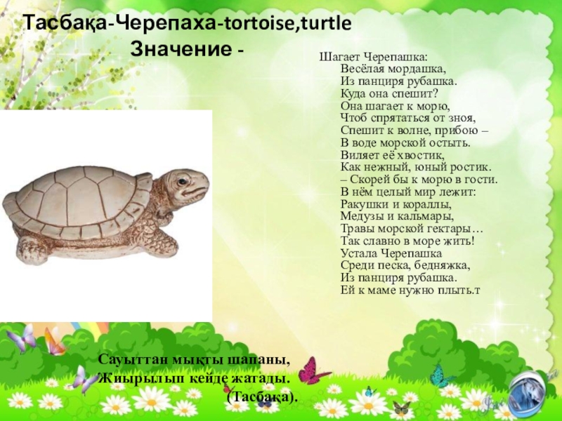 Тасбақа-Черепаха-tortoise,turtle Значение -Шагает Черепашка: Весёлая мордашка, Из панциря рубашка. Куда она спешит? Она шагает к морю, Чтоб