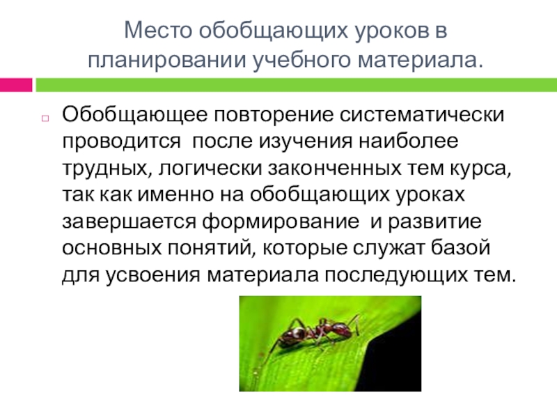 Обобщающий урок по биологии 6 класс презентация