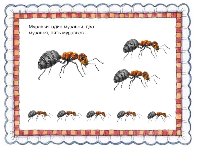 Занятие развитие речи насекомые. Насекомые развивающие задания. Задания по теме насекомые для дошкольников. Задания насекомые старшая группа. Задания для детей по теме муравьи.