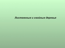 Презентация по окружающему миру для 1 класса Лиственные и хвойные деревья
