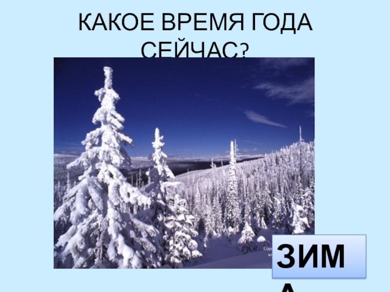 Зимой в какое время. Какое время года зима. Какое время года. Какое сейчас время года. Какая время года зима сейчас.