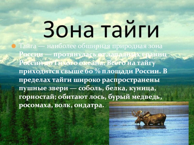 География 8 класс проект природные зоны россии