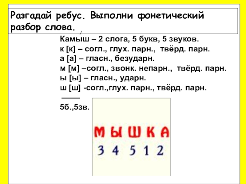 Холодильник звуко буквенный разбор. Фонетический разбор слова. Звукобуквенный разбор. Звуко-буквенный разбор слова камыш. Звуко-буквенный разбор слова.