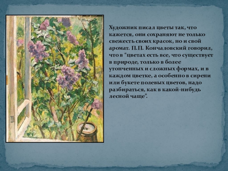 Кончаловский картина сирень описание