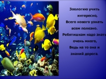 Презентация к уроку Строение рыб. Размножение