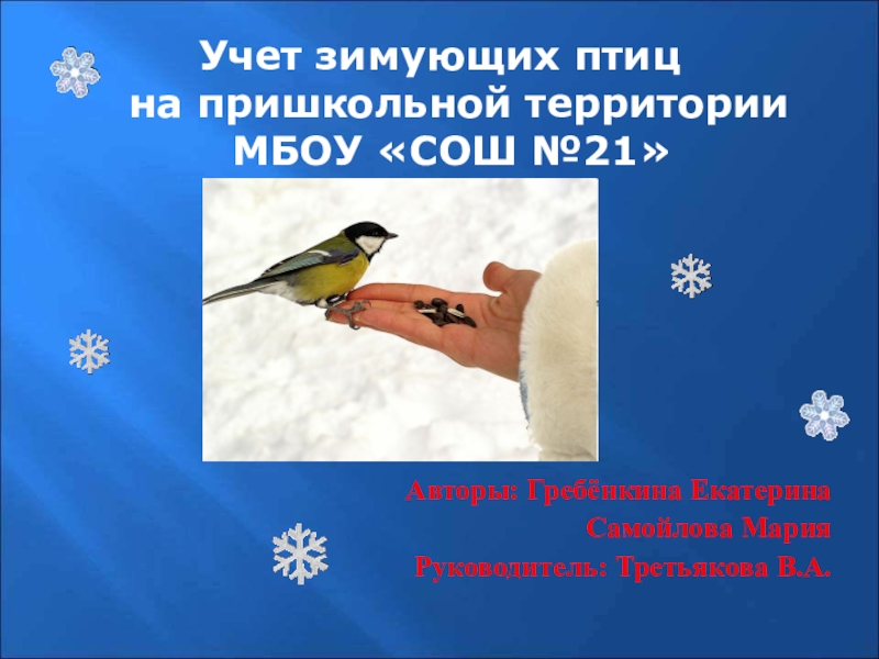 Презентация исследовательской работы Учет зимующих птиц вблизи школы