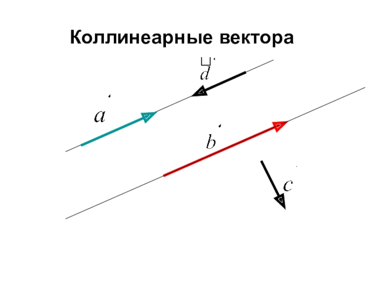 4 коллинеарных вектора. Коллинеарные векторы. Неколлинеарные векторы рисунок. Коллинеарные векторы чертеж. Коллинеарные точки.