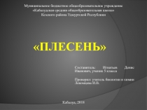 Презентация по биологии Плесень