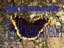 Презентація: урок-узагальнення Тип Членистоногі (8 клас)