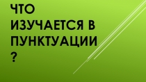 Презентация по русскому языку Пунктуация. Повторение