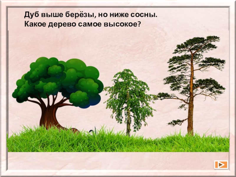 Дуб и сосна. Высокое и низкое дерево. Дуб выше березы. Дуб сосна. Высокое дерево низкое дерево.