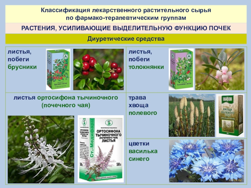 Группа растений которых является. Сырье лекарственных растений. Лекарственное растительное сырьё. Классификация лекарственных растений. Классификация лечебных трав.