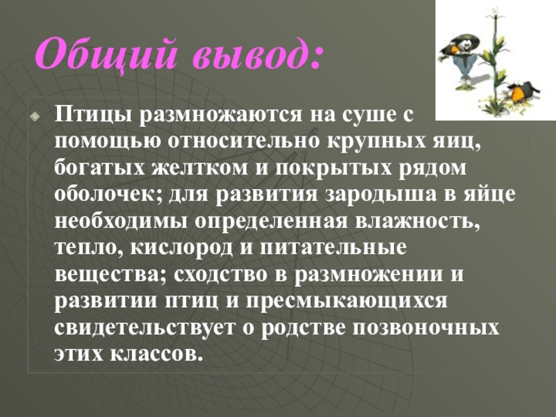 Птицы вывод. Вывод о птицах. Выведение птиц. С помощью чего размножаются птицы. Заключение день птиц.